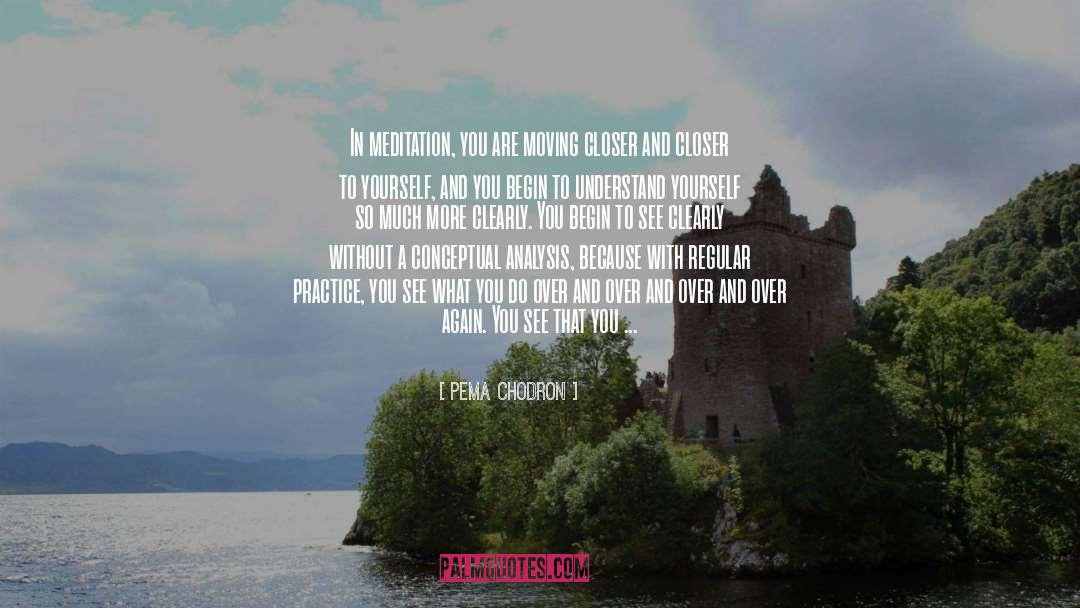 Thinking Of Your Life quotes by Pema Chodron