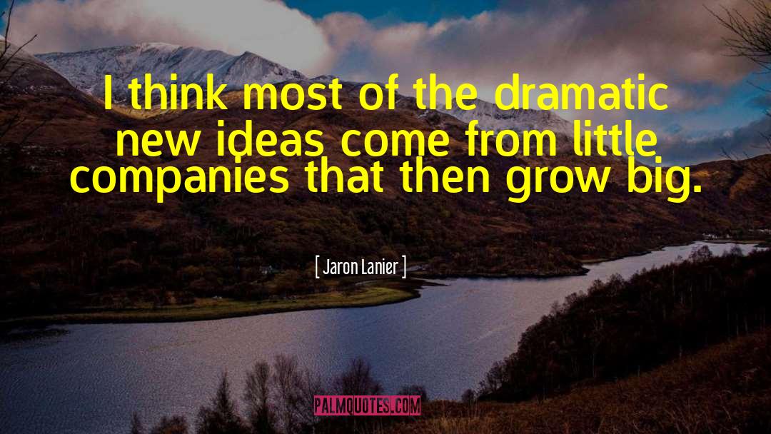 Thinking Others quotes by Jaron Lanier