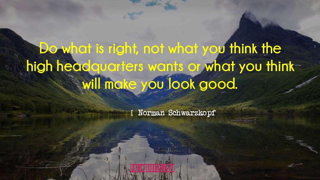 Thinking Productivity quotes by Norman Schwarzkopf