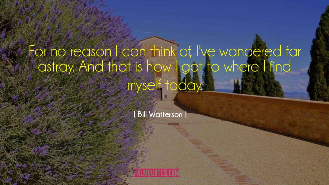 Thinking Reason quotes by Bill Watterson