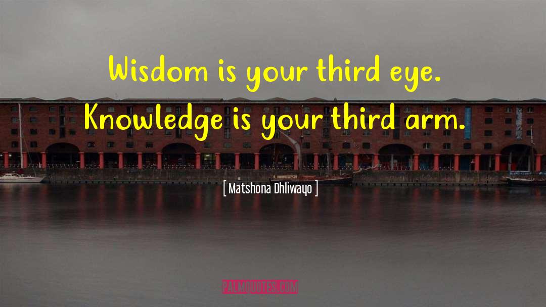 Third Eye quotes by Matshona Dhliwayo