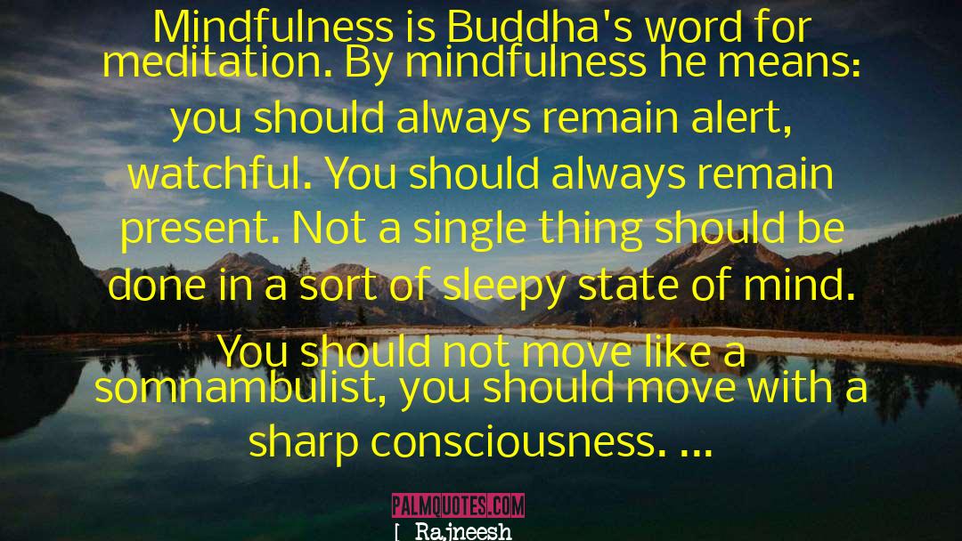 Third Meditation quotes by Rajneesh