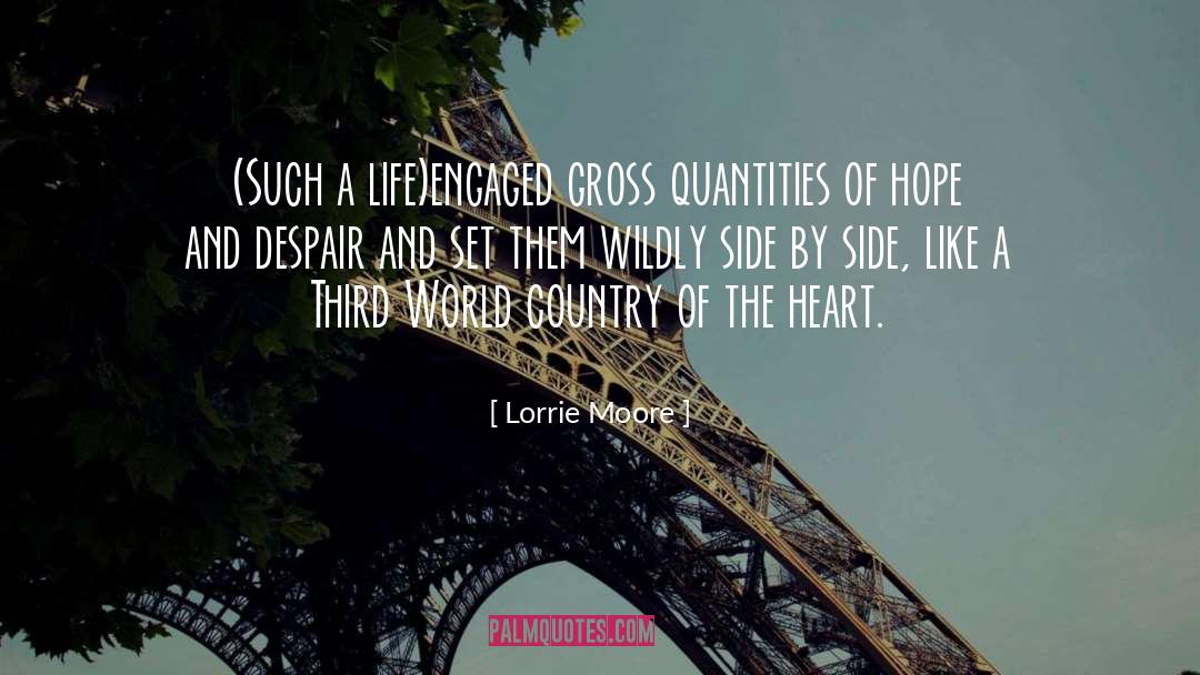 Third World Countries quotes by Lorrie Moore