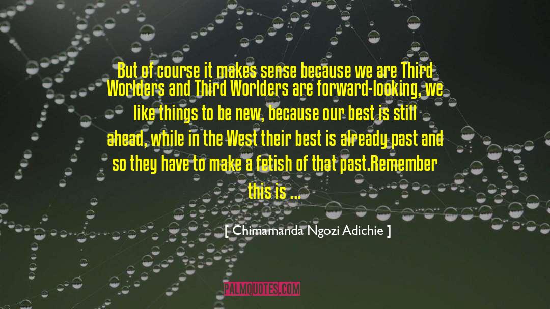 Third World Countries quotes by Chimamanda Ngozi Adichie