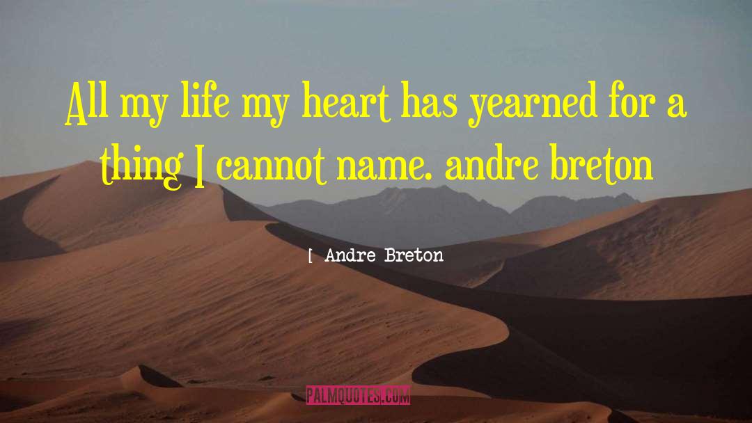 Thirst For Life quotes by Andre Breton