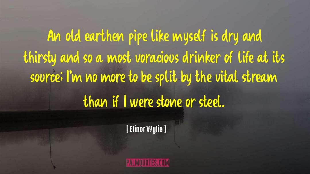 Thirsty quotes by Elinor Wylie