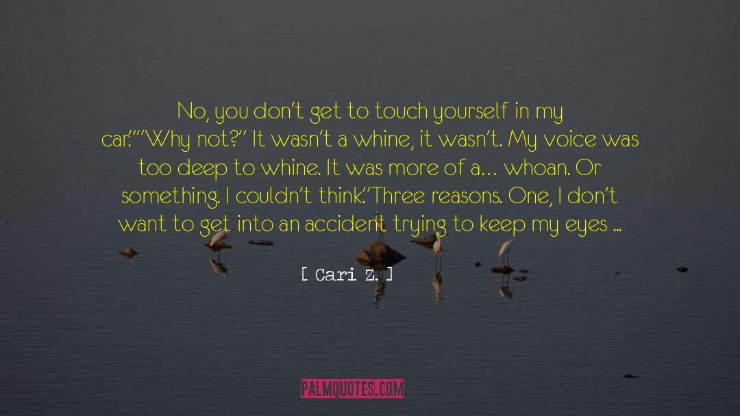Thirteen Reasons Why quotes by Cari Z.