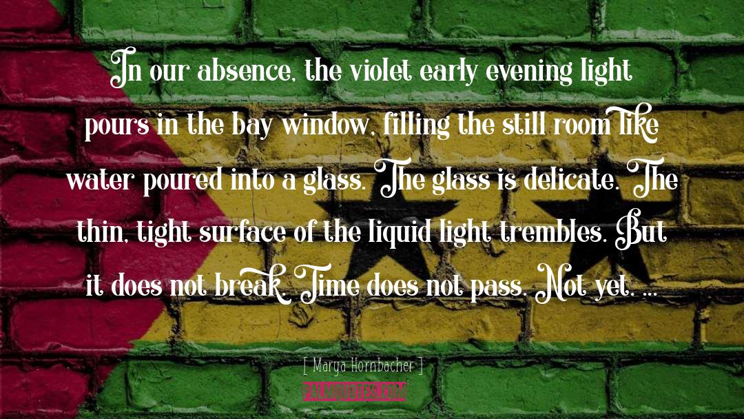 This Blinding Absence Of Light quotes by Marya Hornbacher