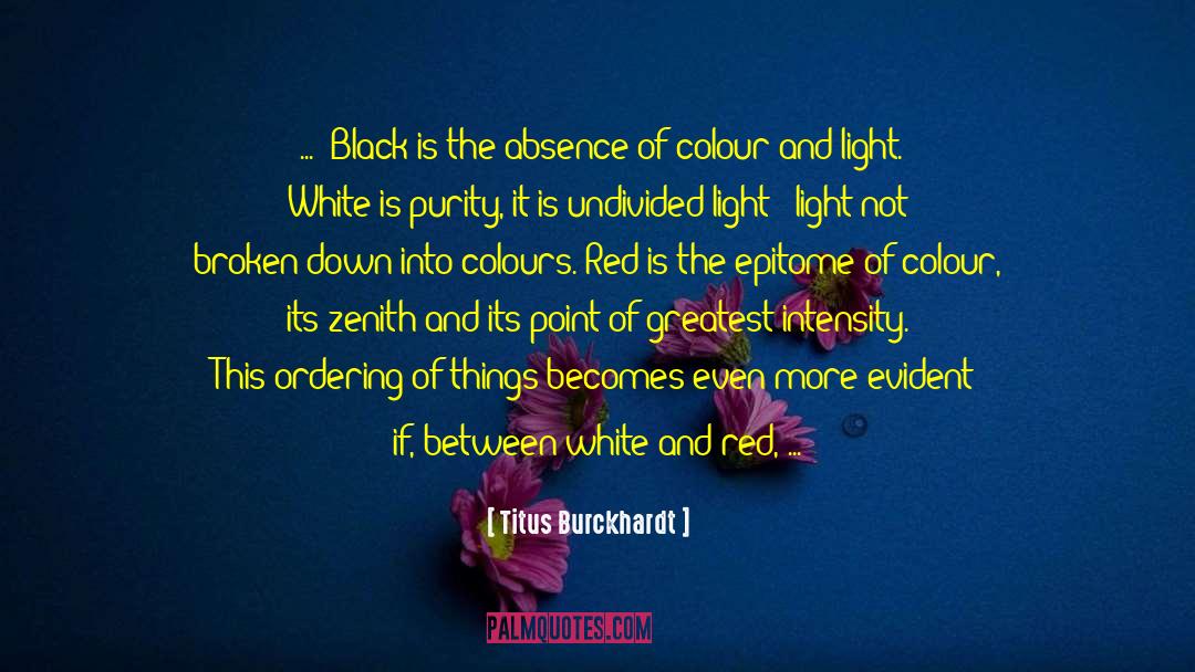 This Blinding Absence Of Light quotes by Titus Burckhardt