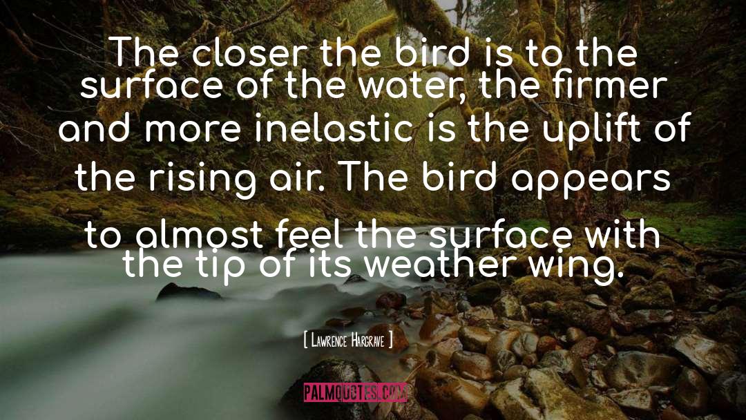 This Is Water quotes by Lawrence Hargrave