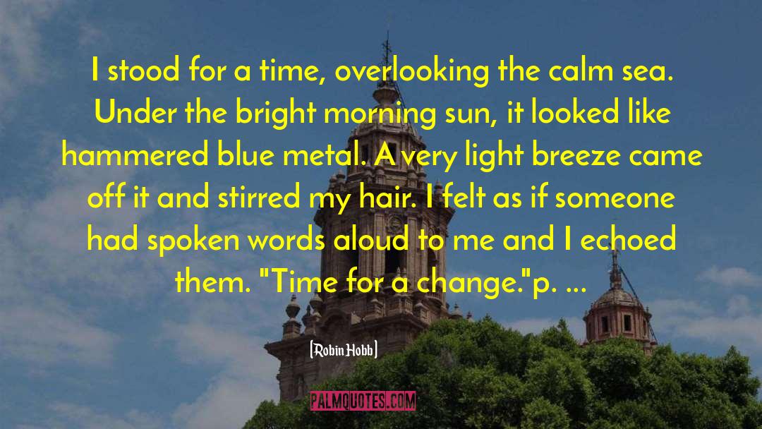 This Metal quotes by Robin Hobb