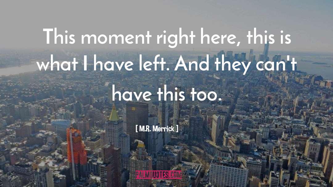 This Moment quotes by M.R. Merrick