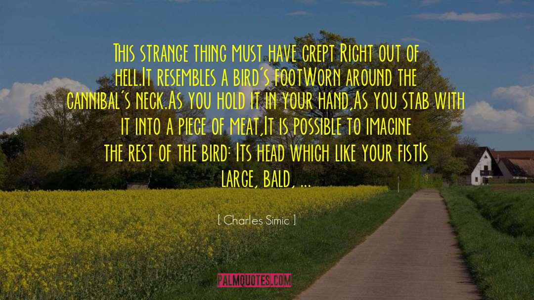 This Strange And Precious Thing quotes by Charles Simic