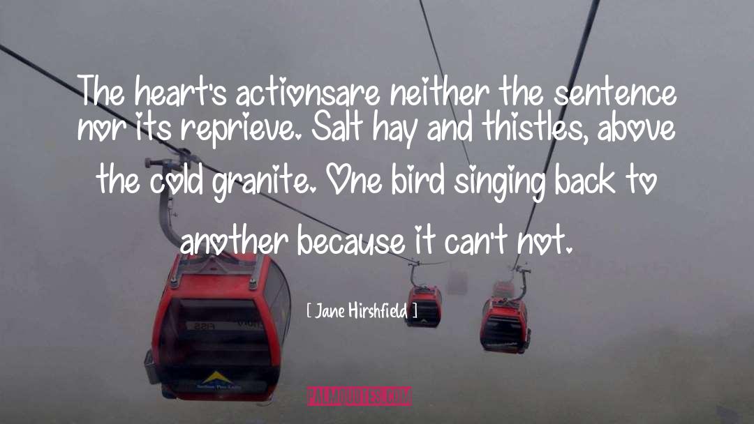 Thistles quotes by Jane Hirshfield