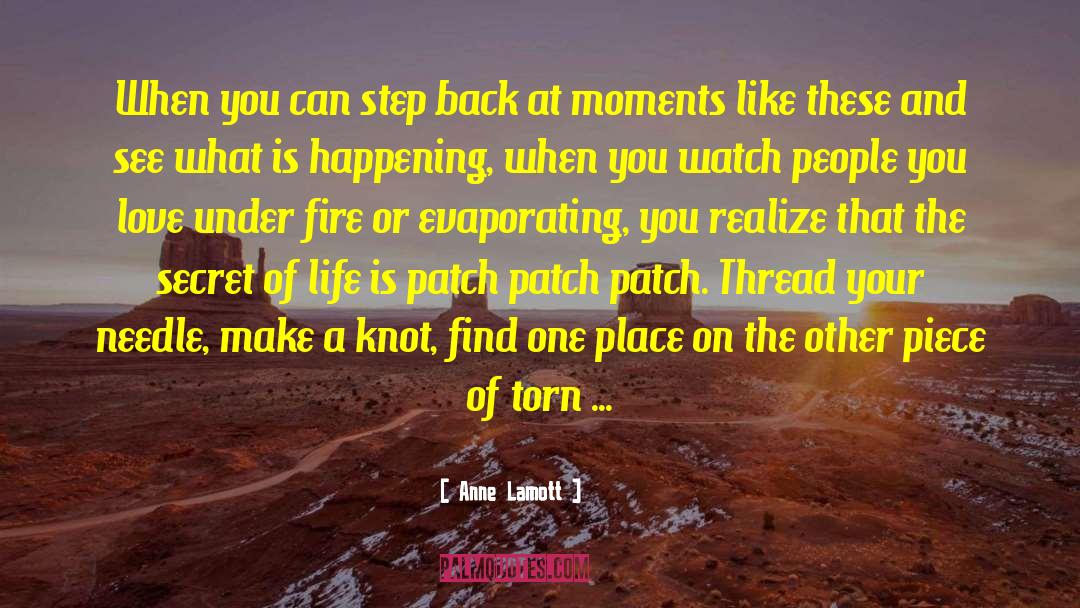 Thomas Builds The Fire quotes by Anne Lamott