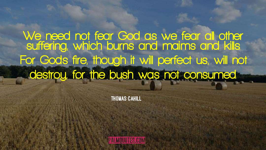 Thomas Keating quotes by Thomas Cahill