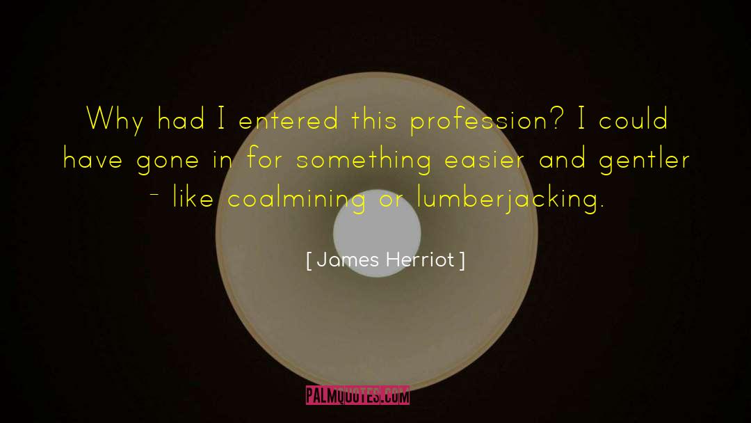 Thora James quotes by James Herriot