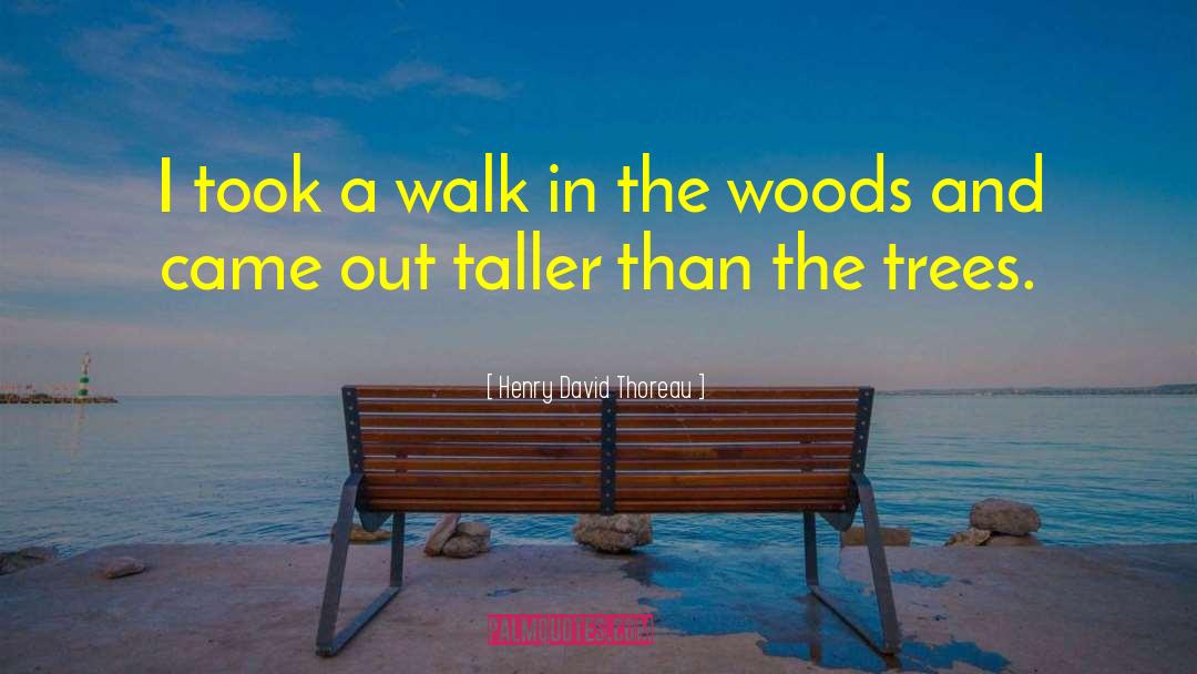 Thoreau Woods Quote quotes by Henry David Thoreau