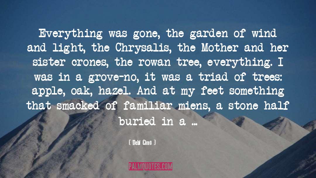 Thorn Tree In The Garden quotes by Debi Cimo