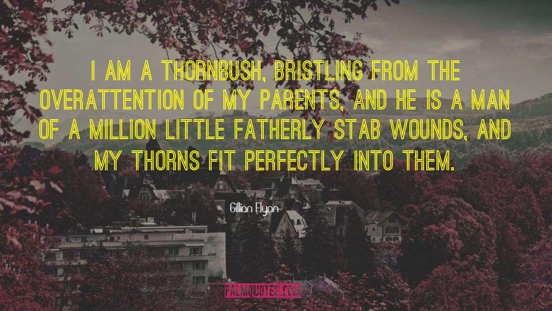 Thornbush quotes by Gillian Flynn