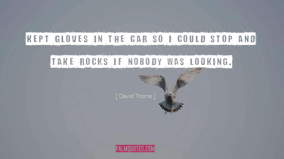 Thorne quotes by David Thorne