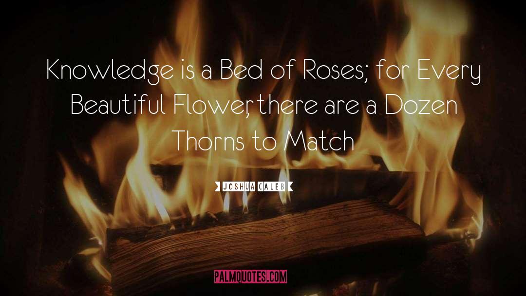 Thorns quotes by Joshua Caleb