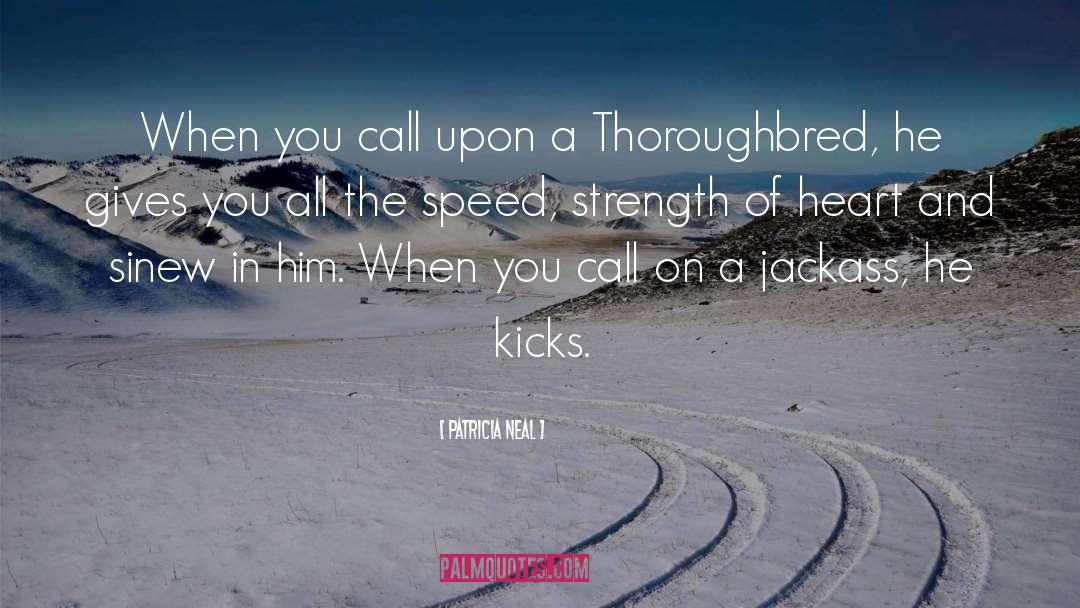 Thoroughbred Horses quotes by Patricia Neal
