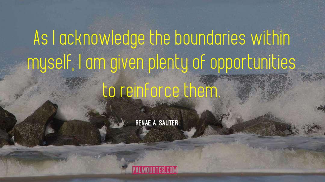 Thought Leader quotes by Renae A. Sauter