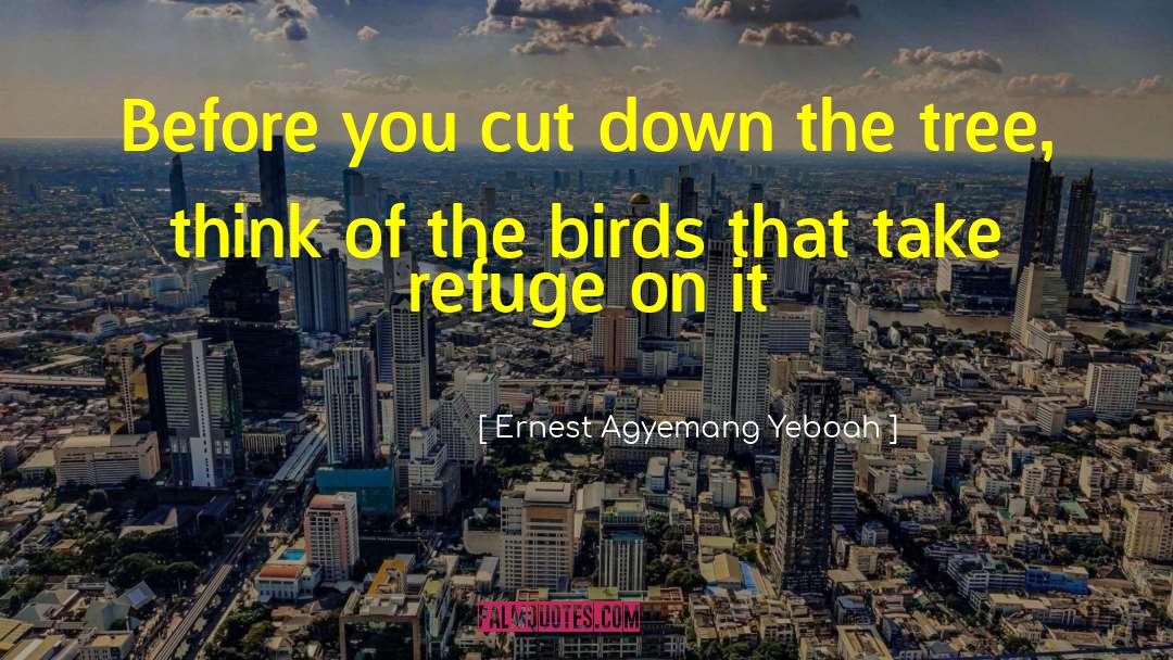 Thought Life quotes by Ernest Agyemang Yeboah