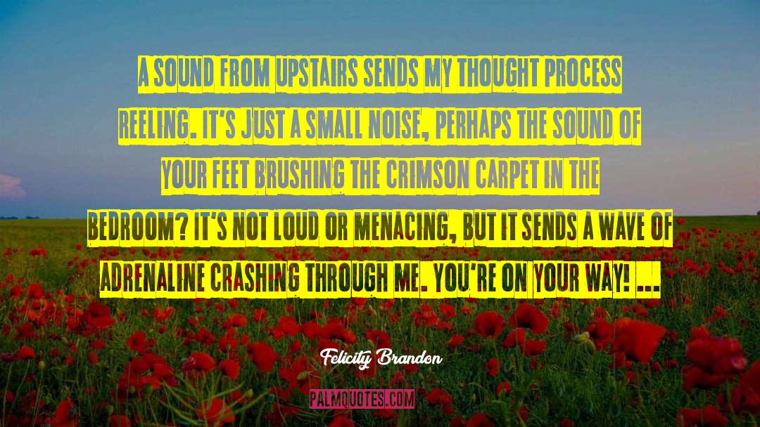 Thought Process quotes by Felicity Brandon