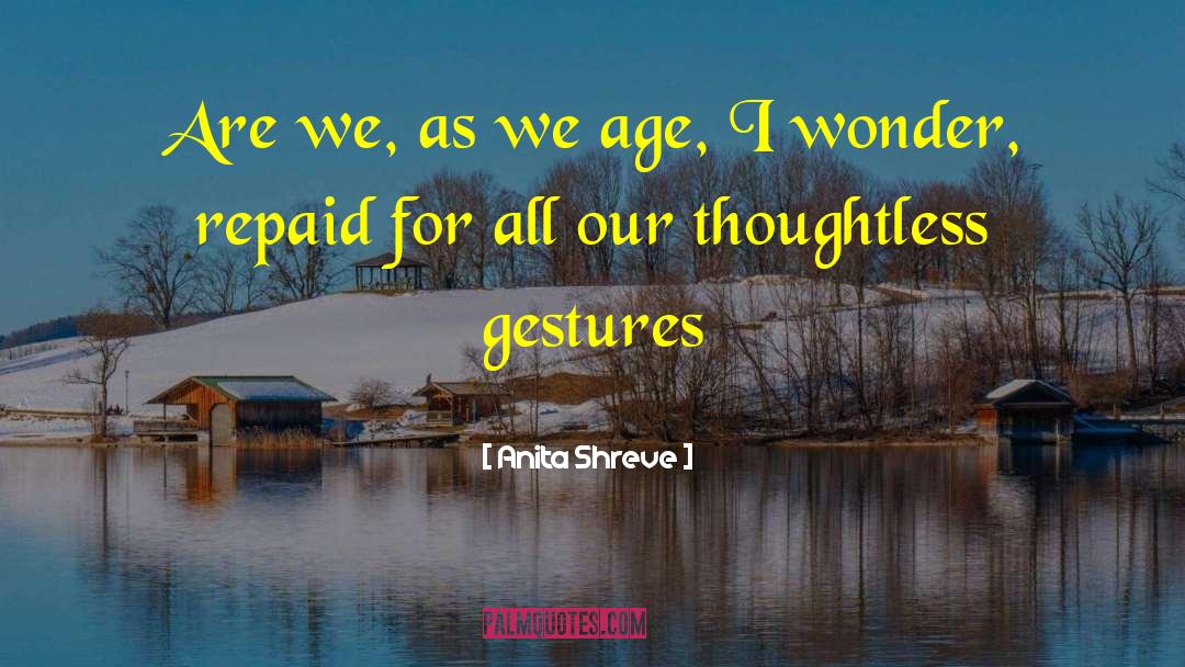 Thoughtless quotes by Anita Shreve