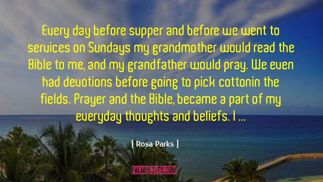 Thoughts And Beliefs quotes by Rosa Parks