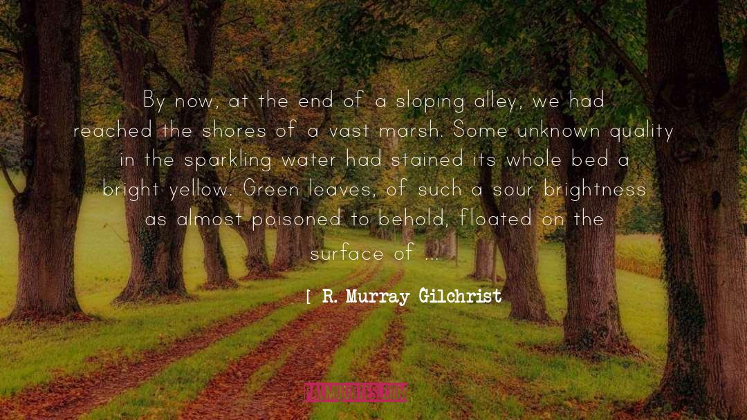 Threaded quotes by R. Murray Gilchrist