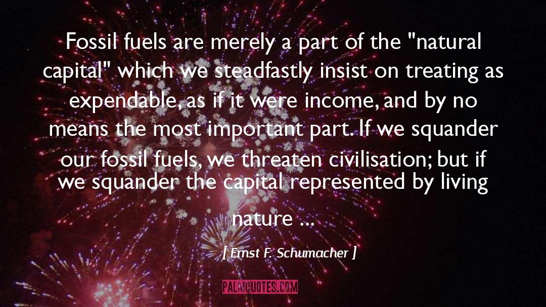 Threaten quotes by Ernst F. Schumacher