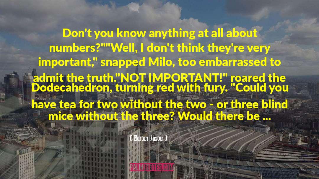 Three Blind Mice quotes by Norton Juster