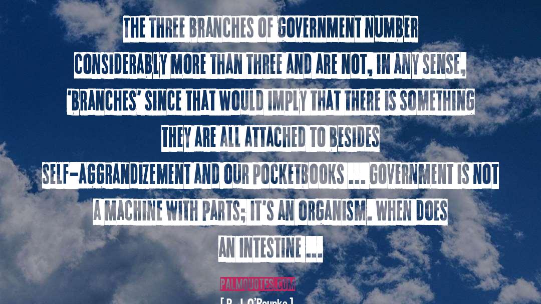Three Branches Of Government quotes by P. J. O'Rourke