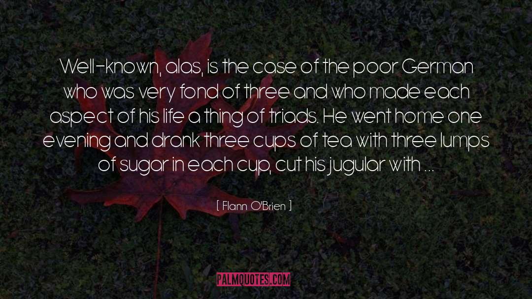 Three Cups Of Tea quotes by Flann O'Brien