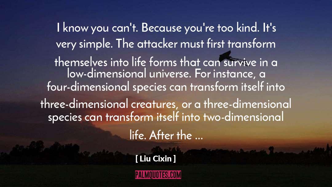 Three Dimensional quotes by Liu Cixin