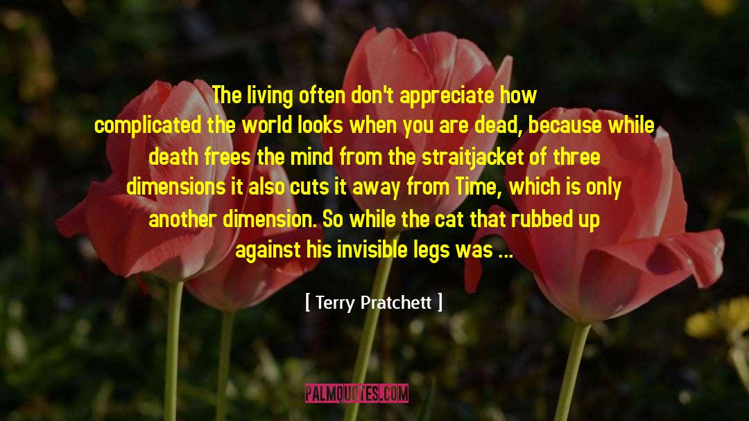 Three Dimensions quotes by Terry Pratchett