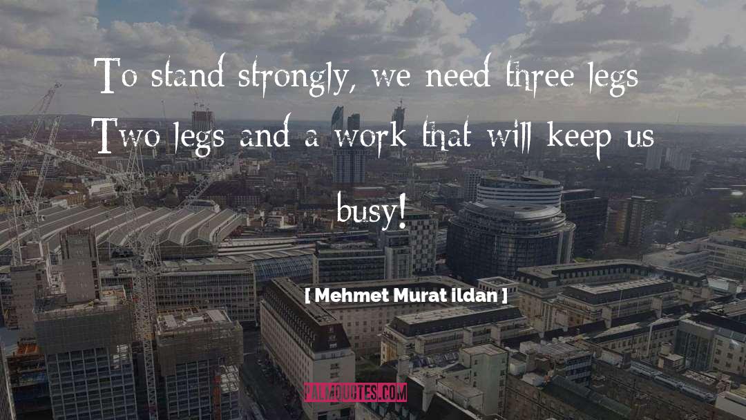 Three Legs quotes by Mehmet Murat Ildan