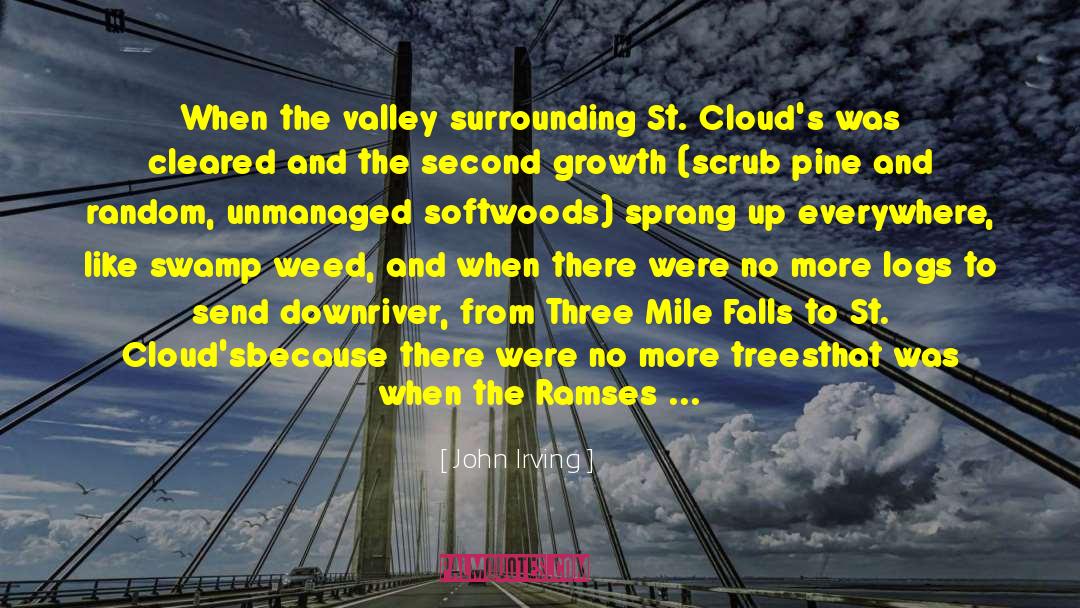 Three Mile Island quotes by John Irving