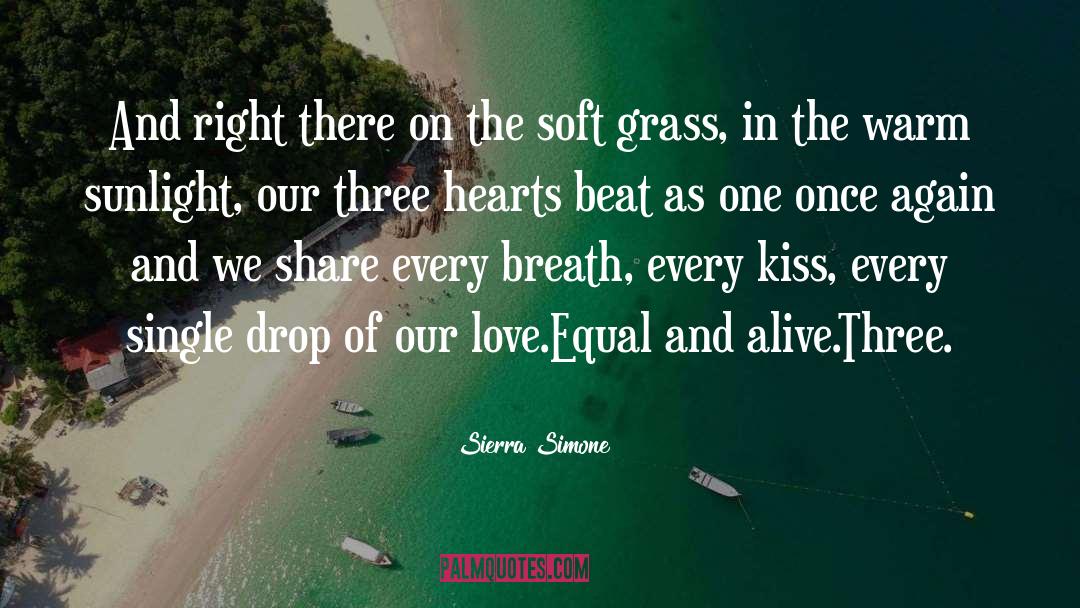 Three quotes by Sierra Simone