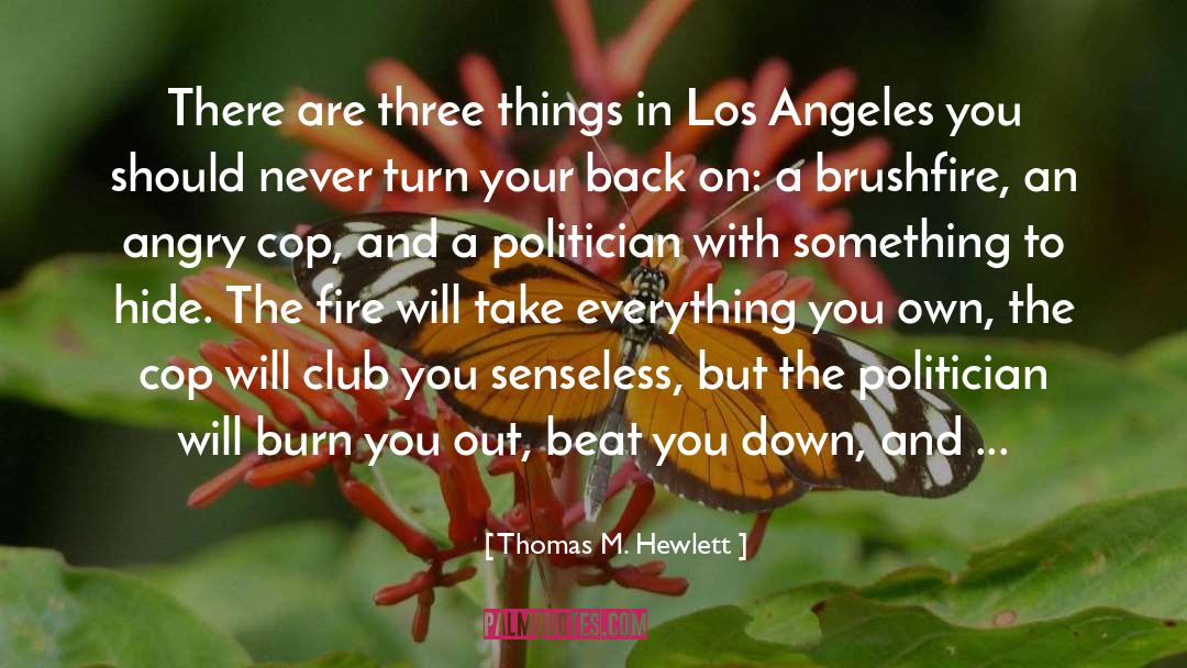 Three Things quotes by Thomas M. Hewlett