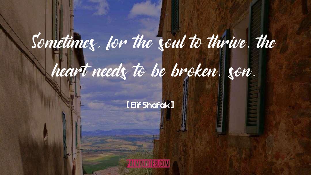 Thrive quotes by Elif Shafak