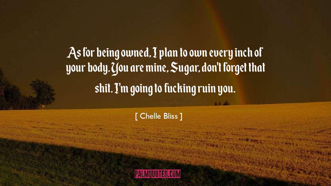 Throttle Me quotes by Chelle Bliss