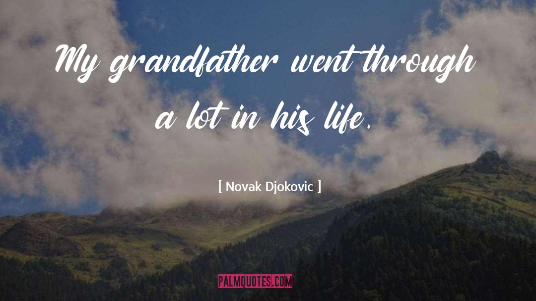 Through A Lot quotes by Novak Djokovic