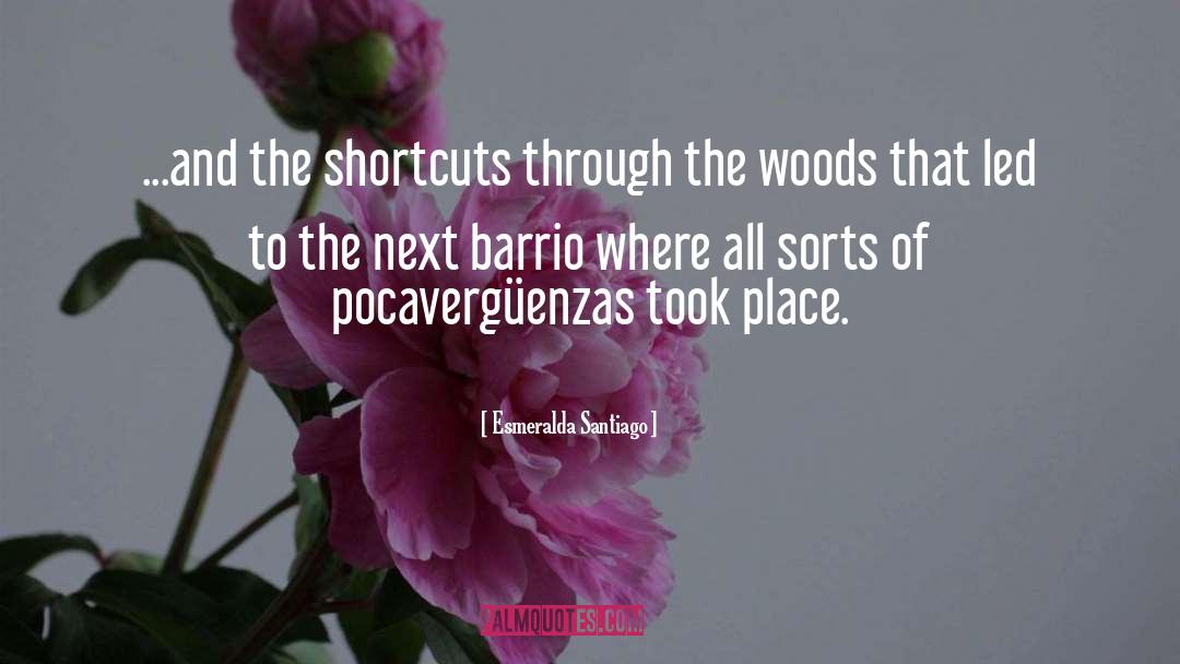 Through The Woods quotes by Esmeralda Santiago