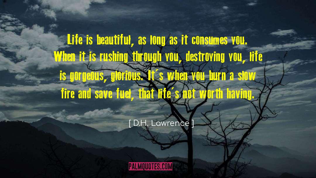Through You quotes by D.H. Lawrence