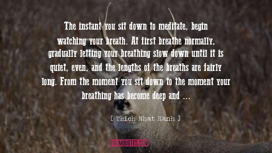 Throw Down quotes by Thich Nhat Hanh