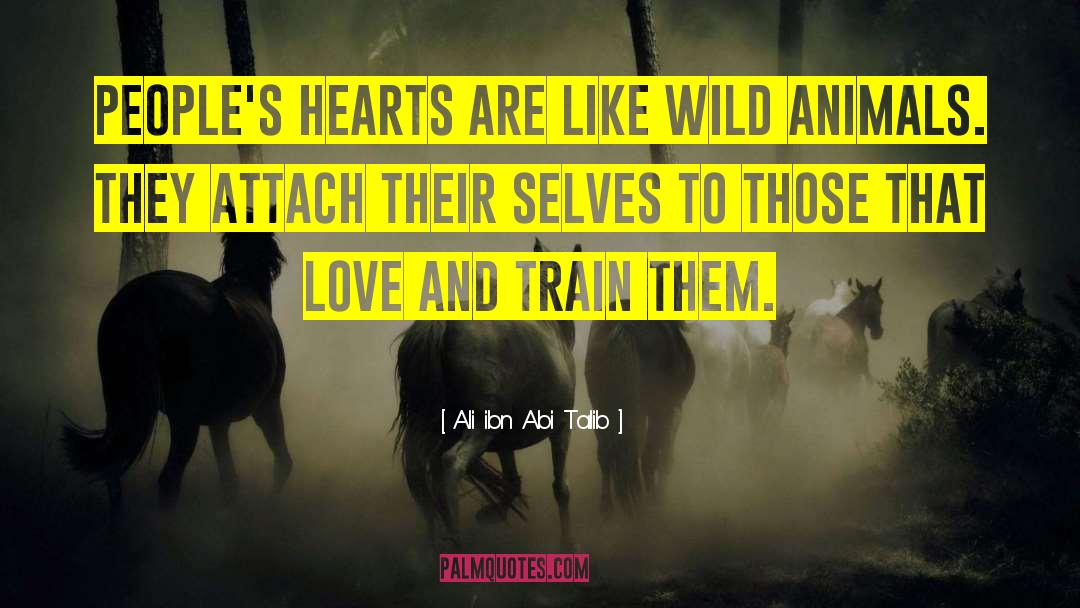 Throw Momma From The Train Love quotes by Ali Ibn Abi Talib